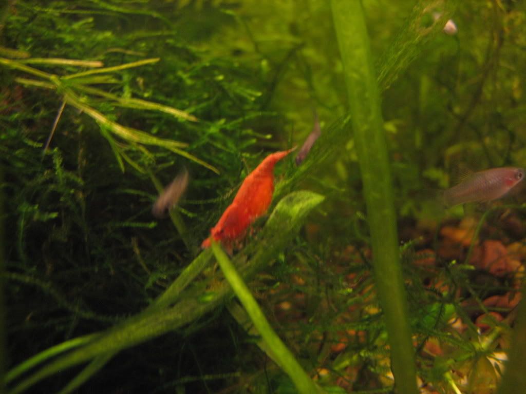 IMG_8204.jpg