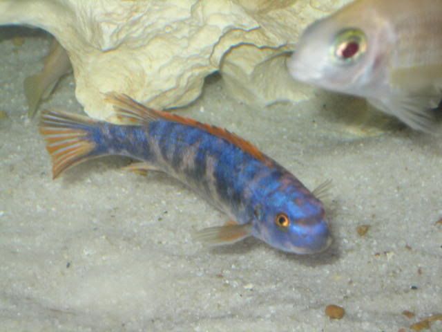 014-4.jpg