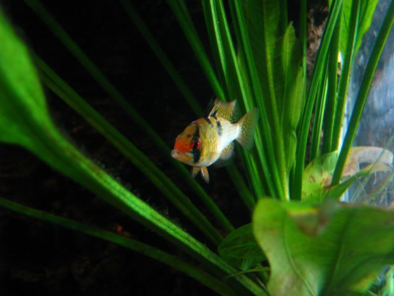 IMG_3805.jpg