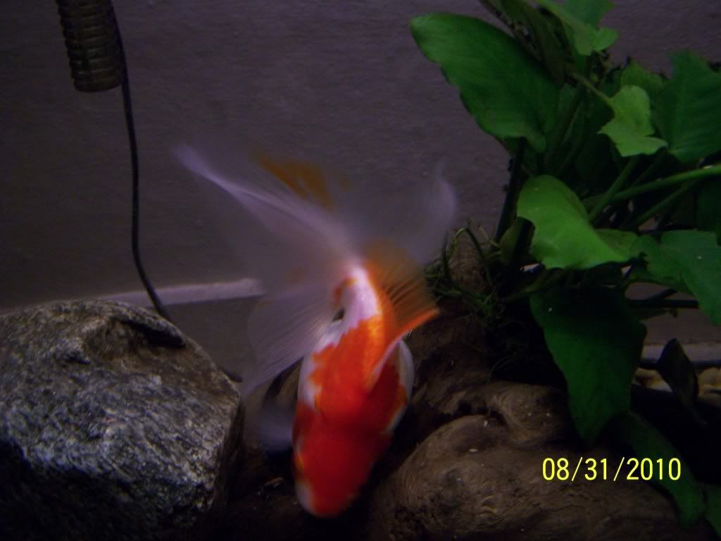 100_4928.jpg