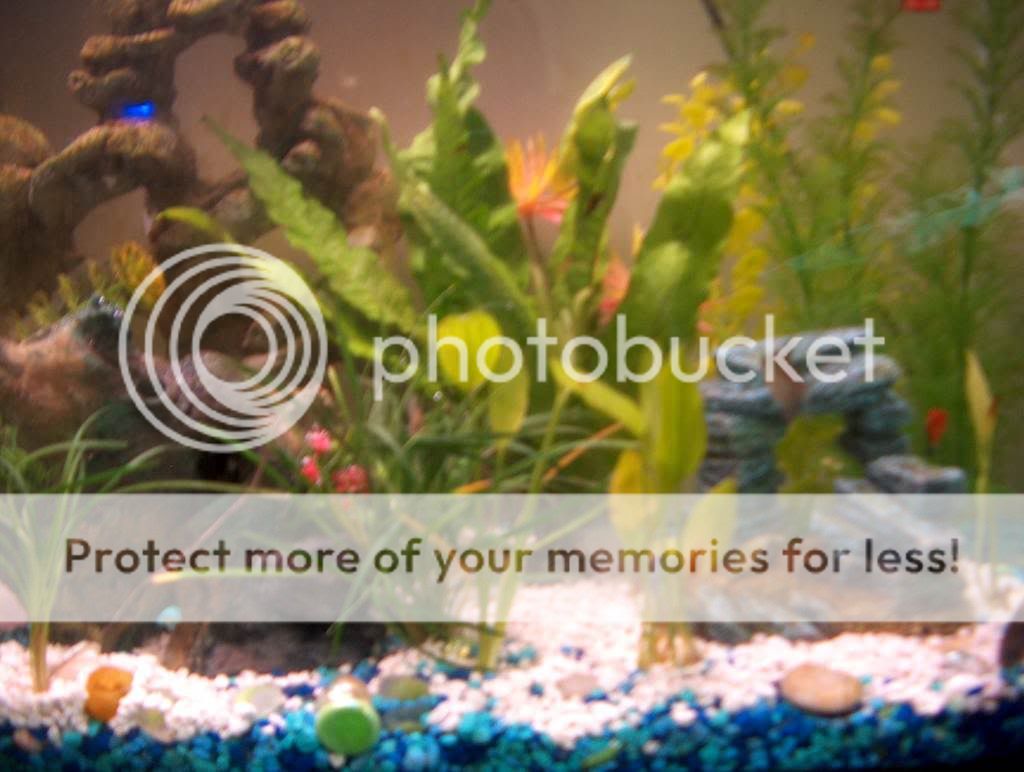 PictureorVideo024.jpg