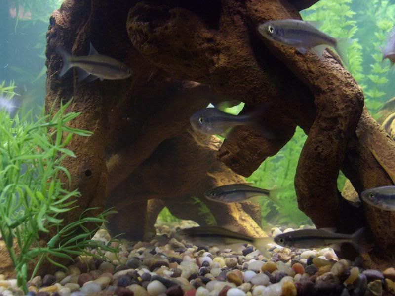 100_3545.jpg