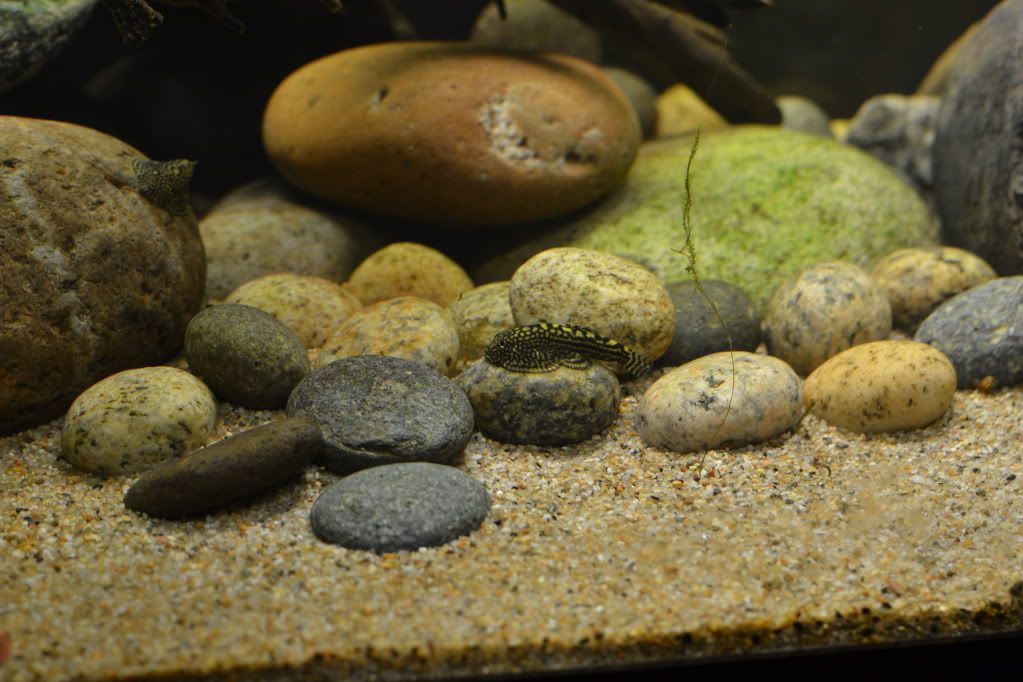 DSC_0452.jpg