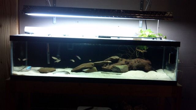 2012-08-16_07-08-35_668.jpg