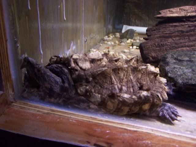 Picture009.jpg