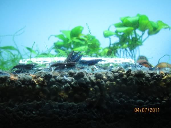 IMG_0210600x450.jpg