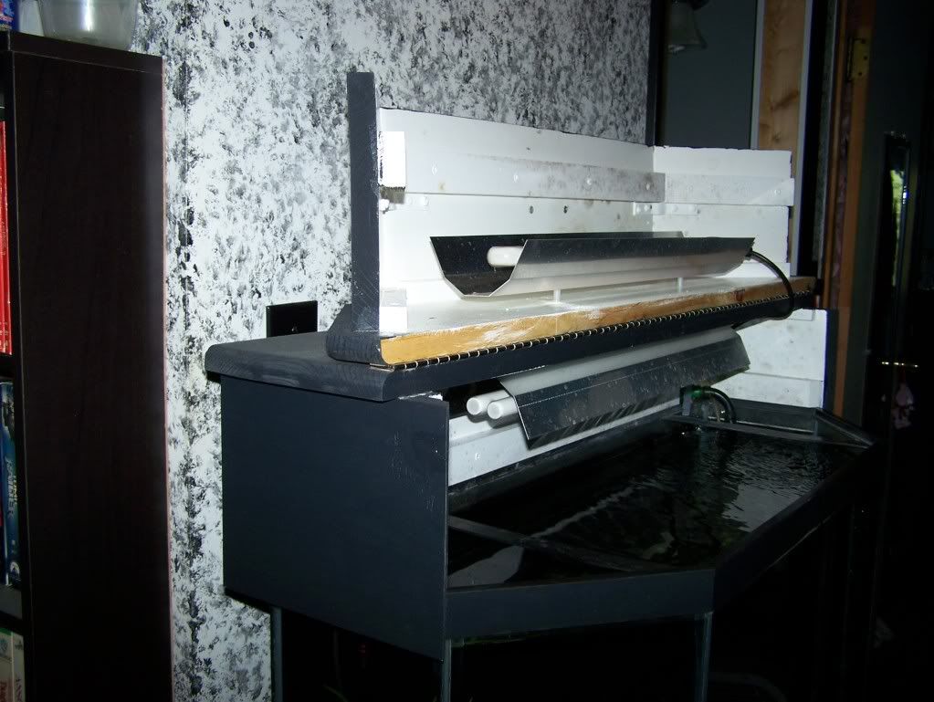100_4226.jpg