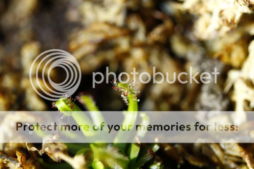 _MG_4276.jpg