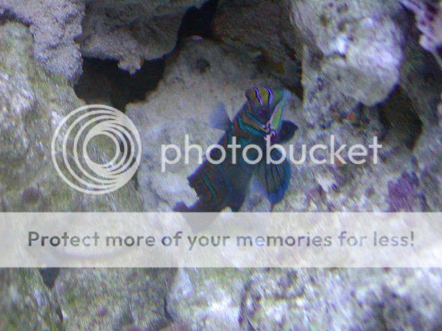 P1010086-3.jpg