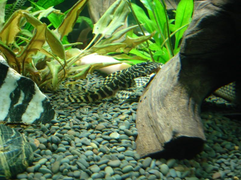 DSC02114.jpg