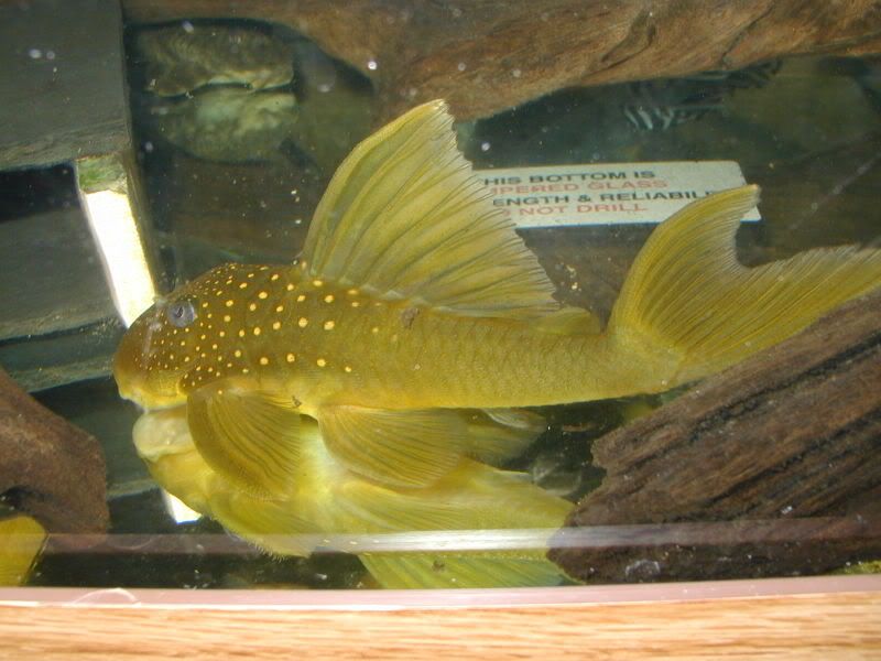06753fd5.jpg