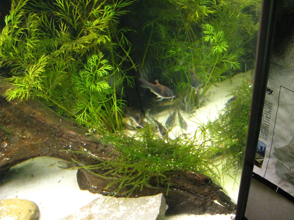 IMG_0967.jpg
