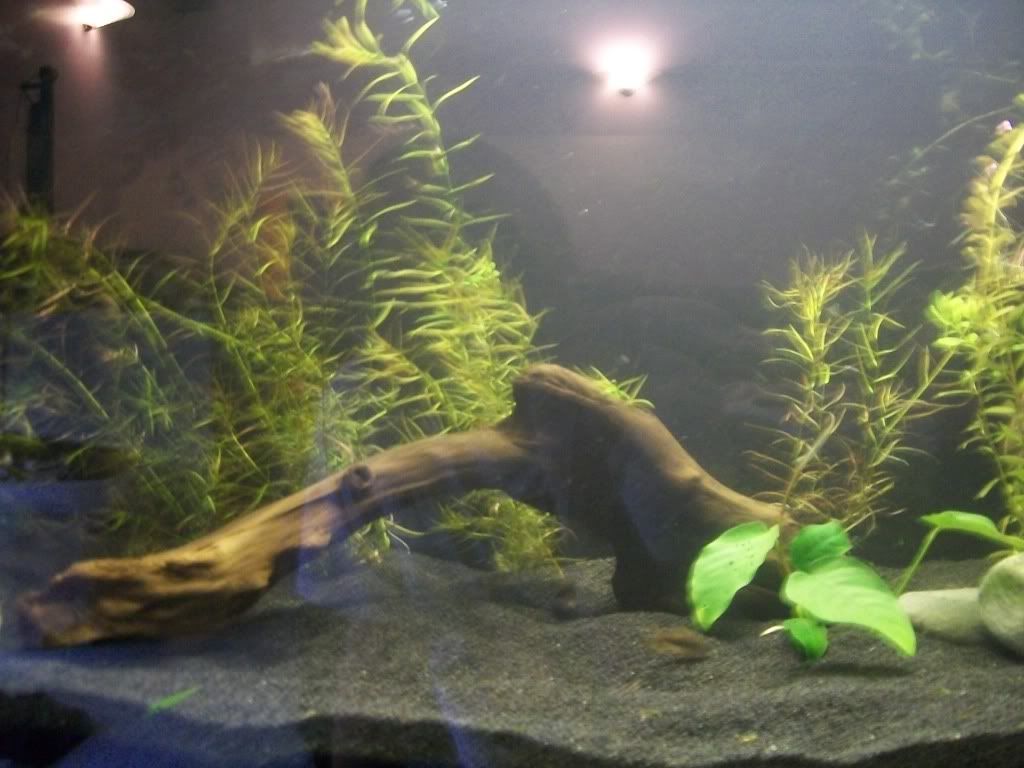 100_2260.jpg