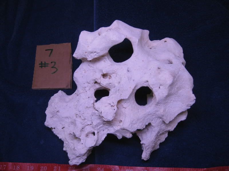 008-13.jpg
