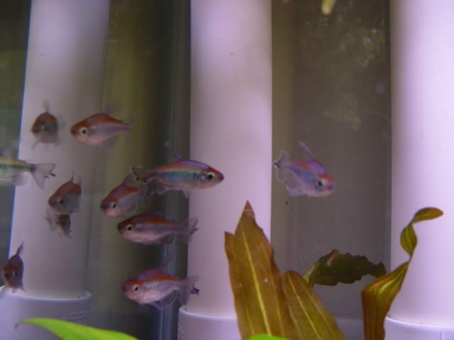 DSC03425.jpg