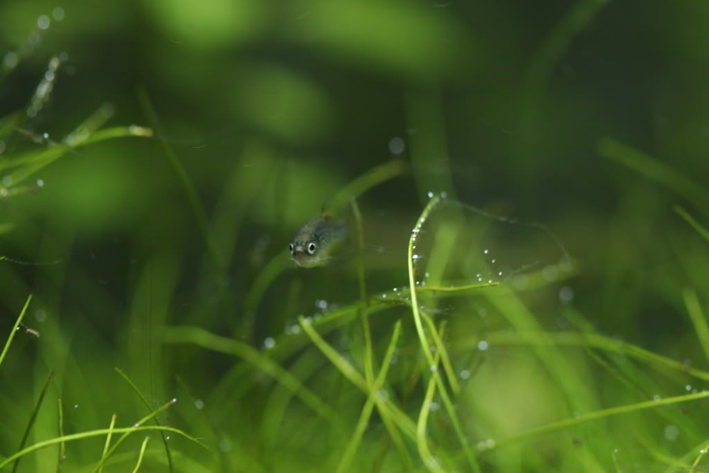 _MG_2109.jpg