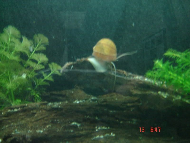 DSC03105.jpg