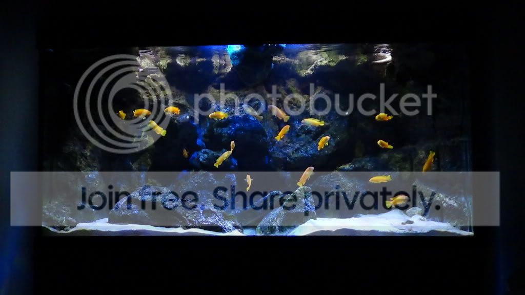 DSC02279.jpg