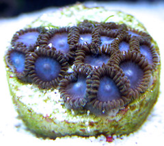 3185518943_7e799261e6_m.jpg