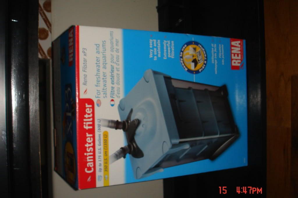 DSC01785.jpg