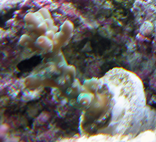 3089616967_515a45e044.jpg
