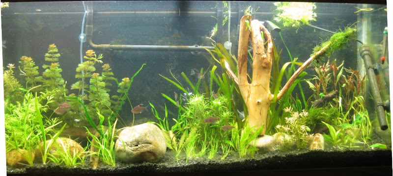 fulltank20100812.jpg