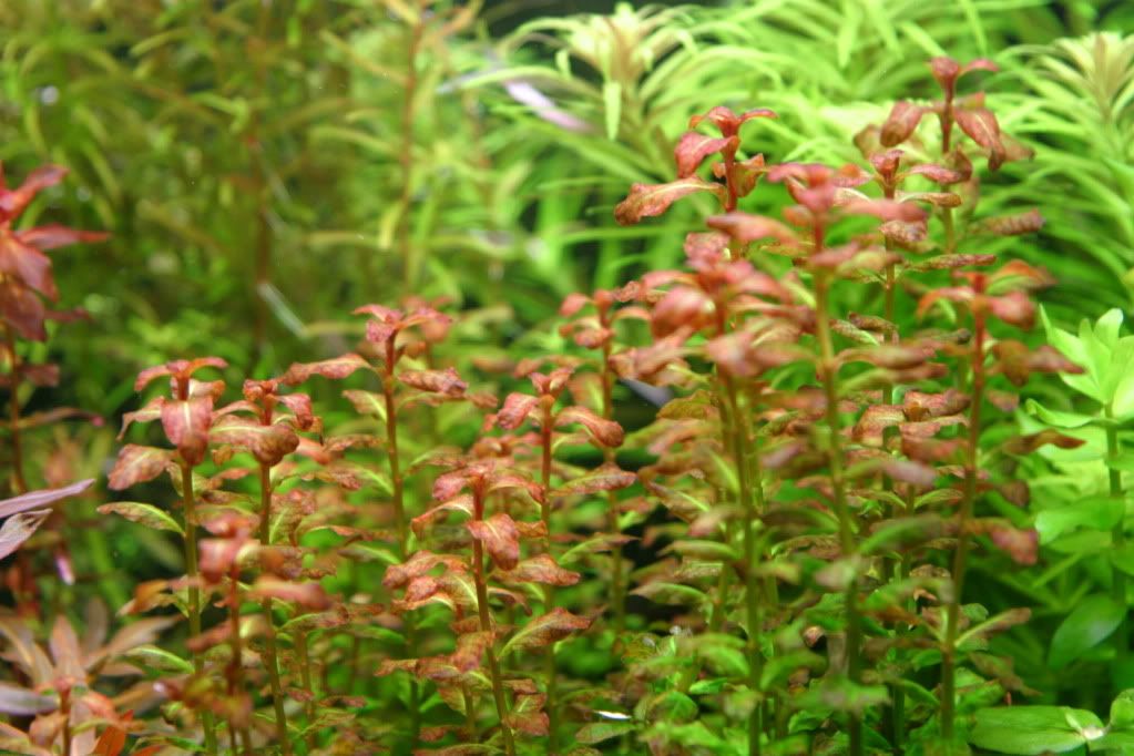 60g04-12-10012.jpg