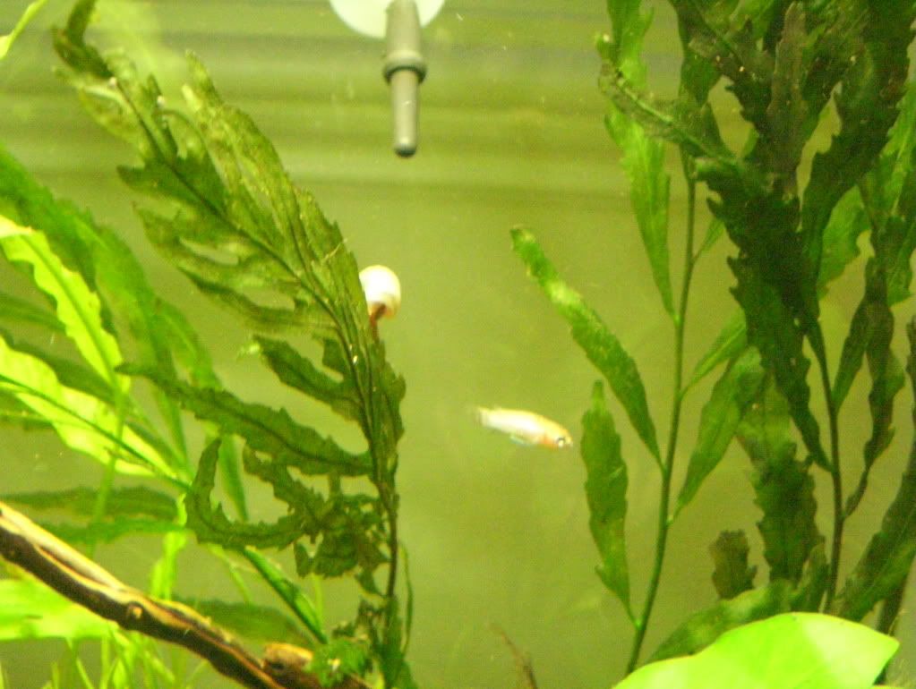 100_4314.jpg