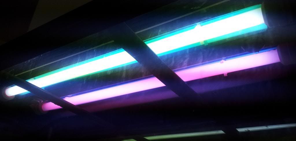 20140425_125329_zps55490522.jpg