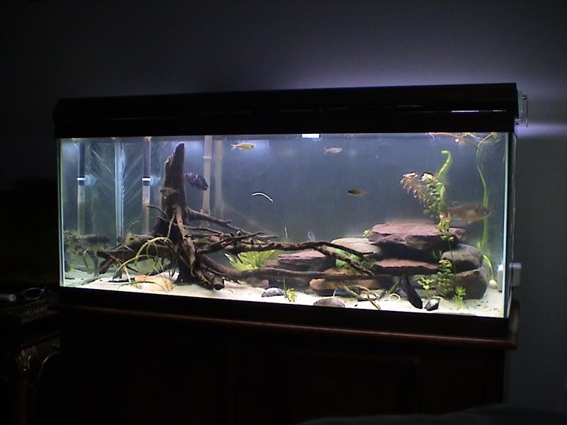 Picture9.jpg