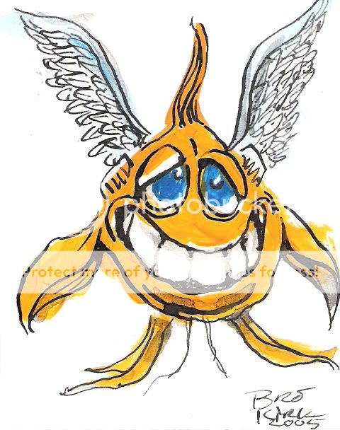 Angel_Fish.jpg