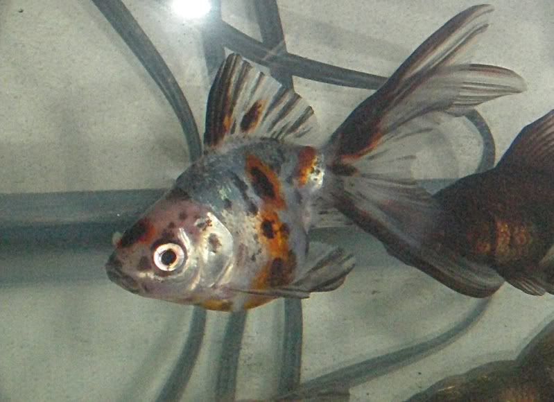 020110008.jpg