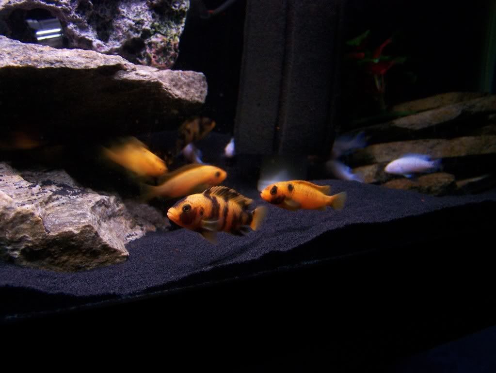 100_2761.jpg