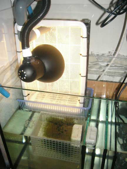 UserCreetinOnSRC-5.jpg