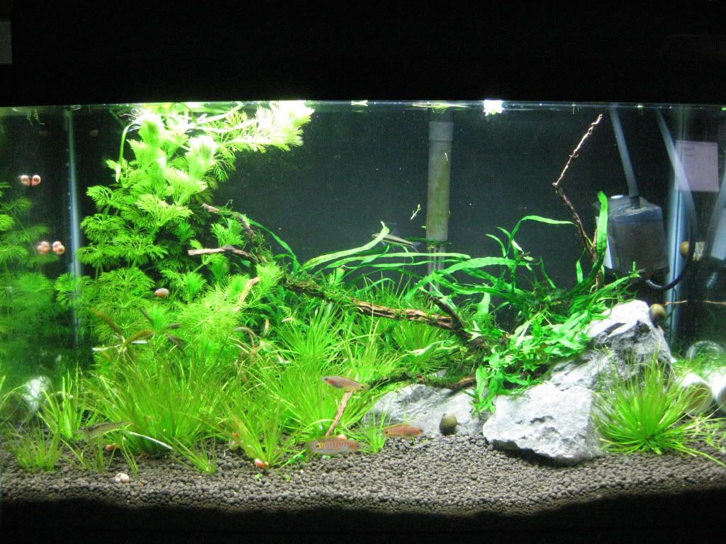 10Gal91809.jpg