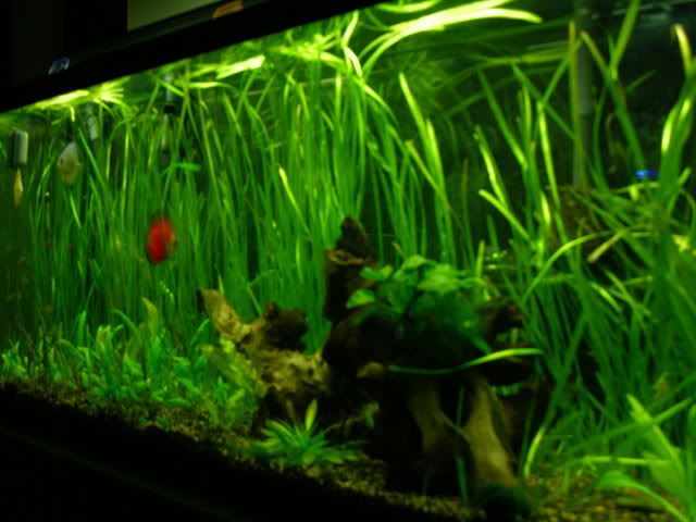 DSCN3482.jpg