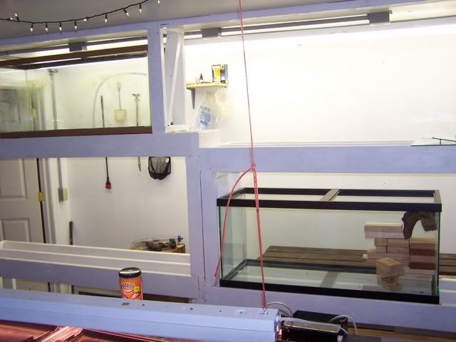 fishwall013.jpg