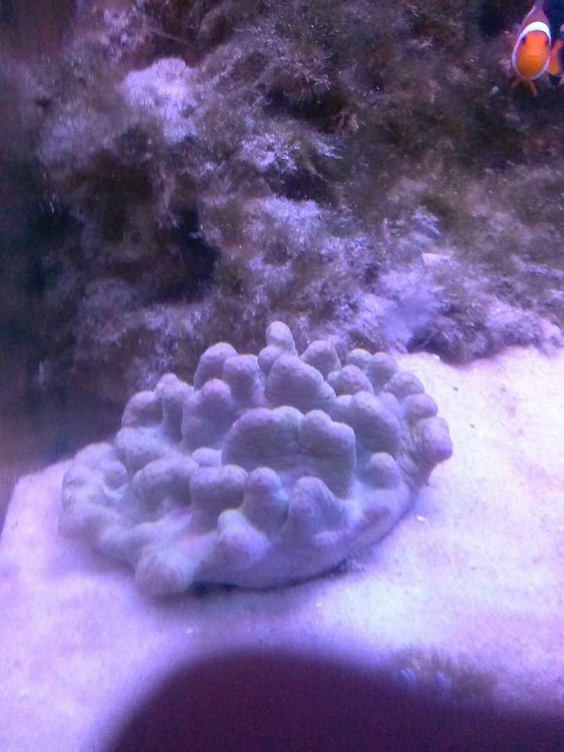 CAM00386.jpg