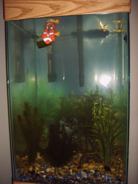 aquarium_001.jpg