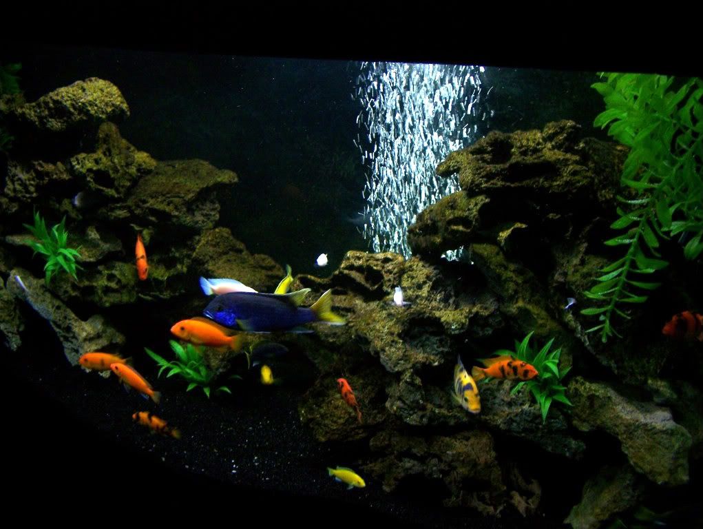 100_4064.jpg