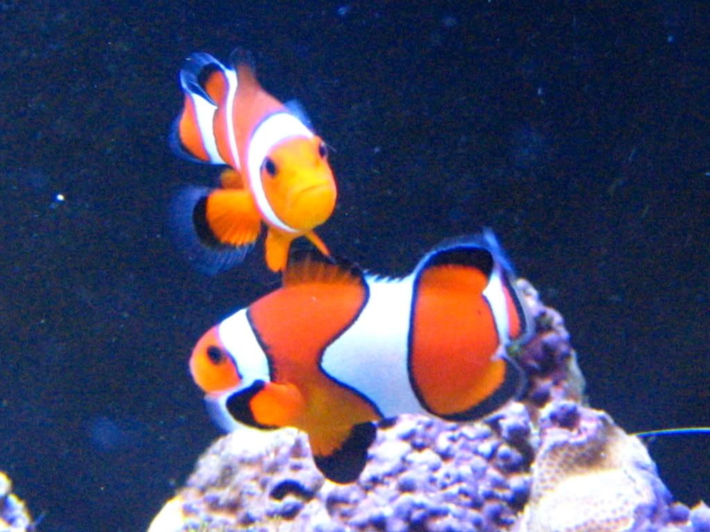 IMG_1008.jpg