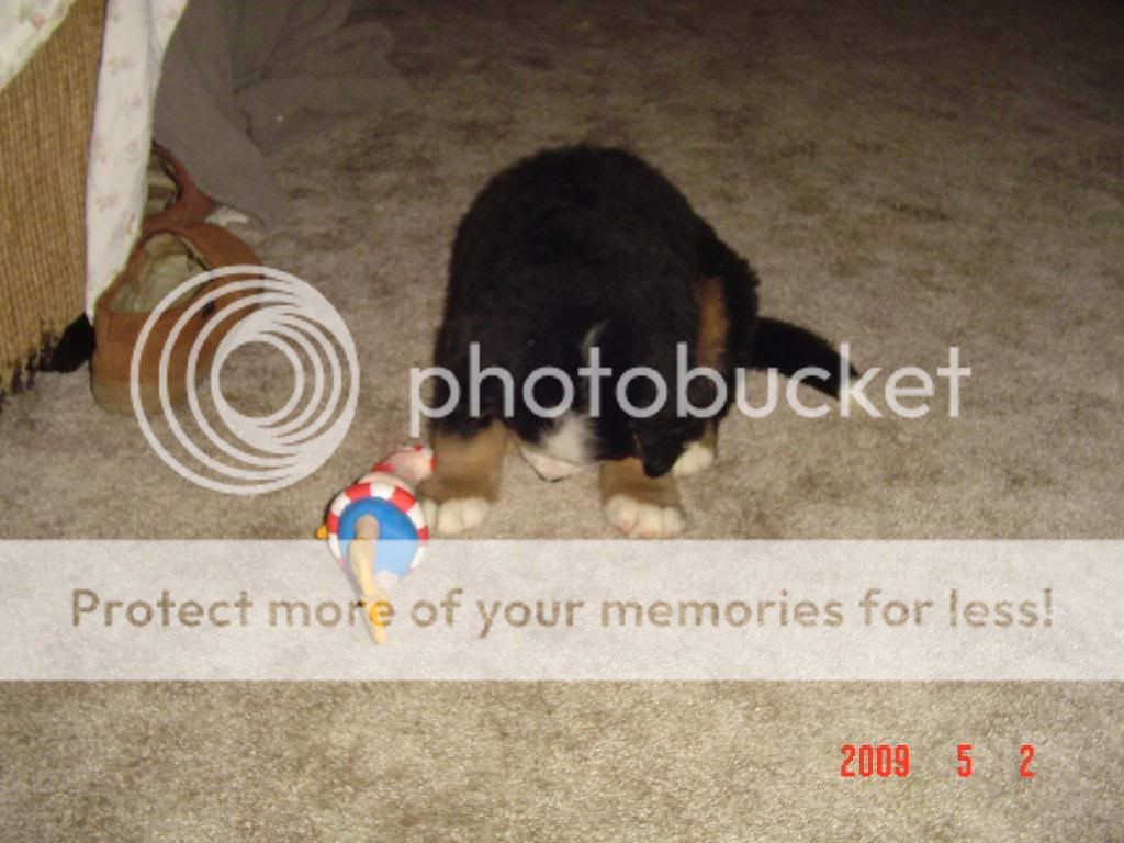 DSC02266.jpg