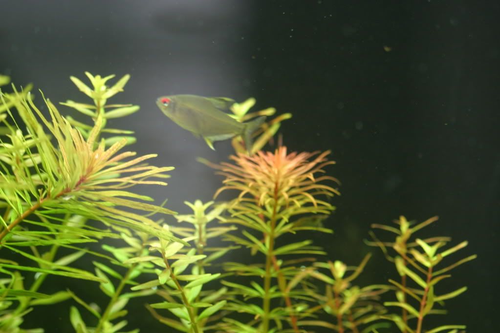 60g04-12-10015.jpg