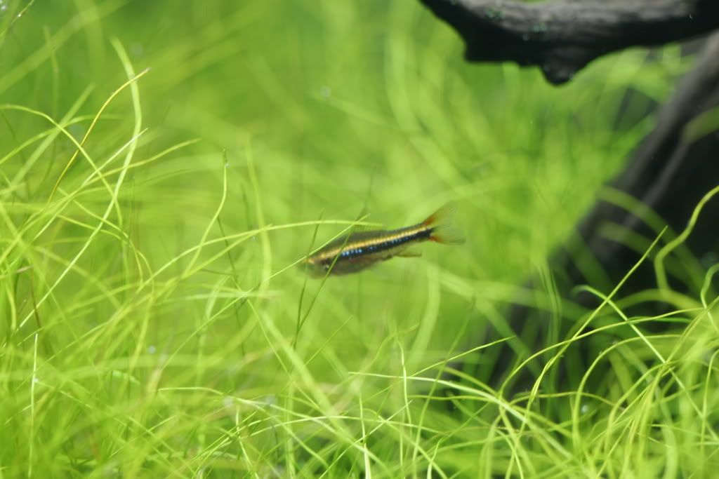 _MG_2077.jpg