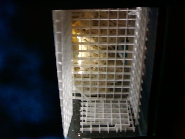 P1010010-20.jpg
