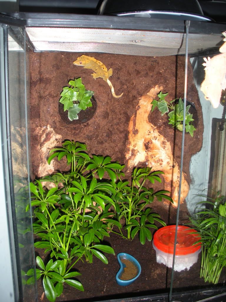 DSCN3775.jpg