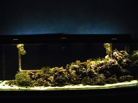 frontal2.jpg