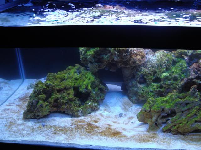 tank041.jpg