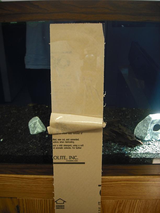 DSCF00212keep.JPG