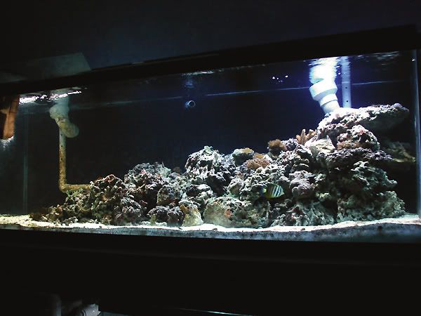 frontal3.jpg